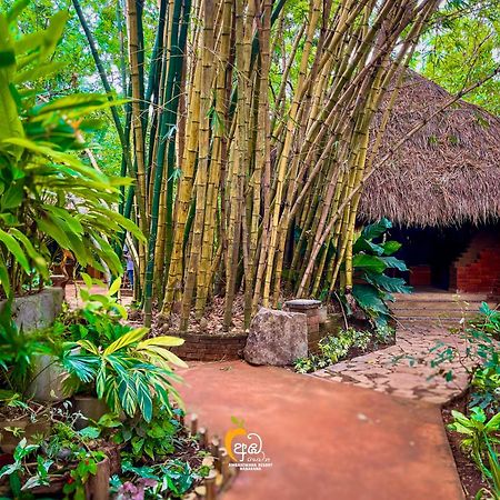 Habarana Tree House Ambasewana Resort Exterior photo