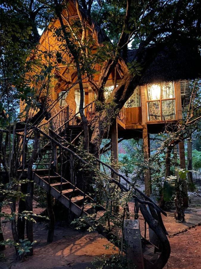 Habarana Tree House Ambasewana Resort Exterior photo