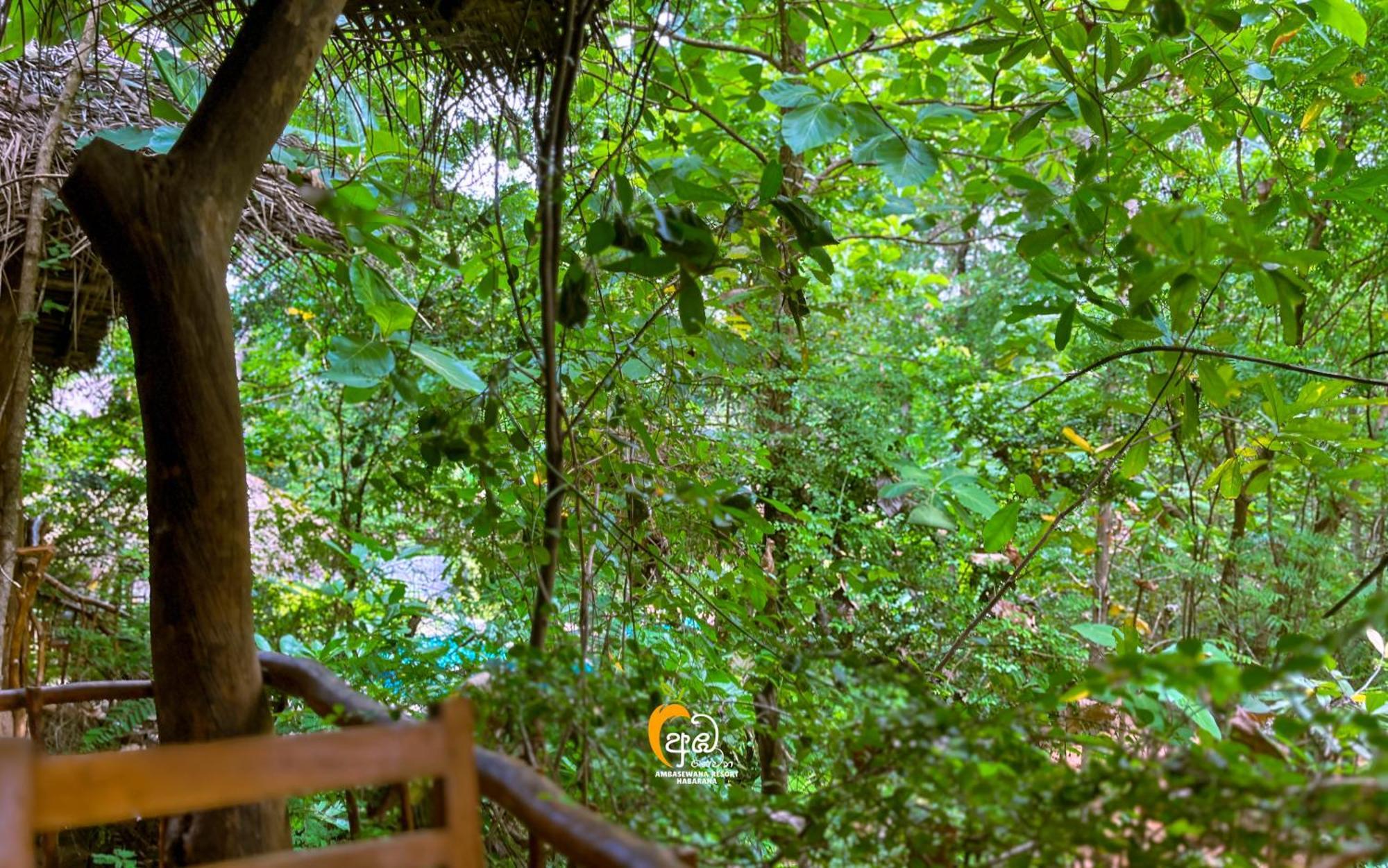 Habarana Tree House Ambasewana Resort Exterior photo