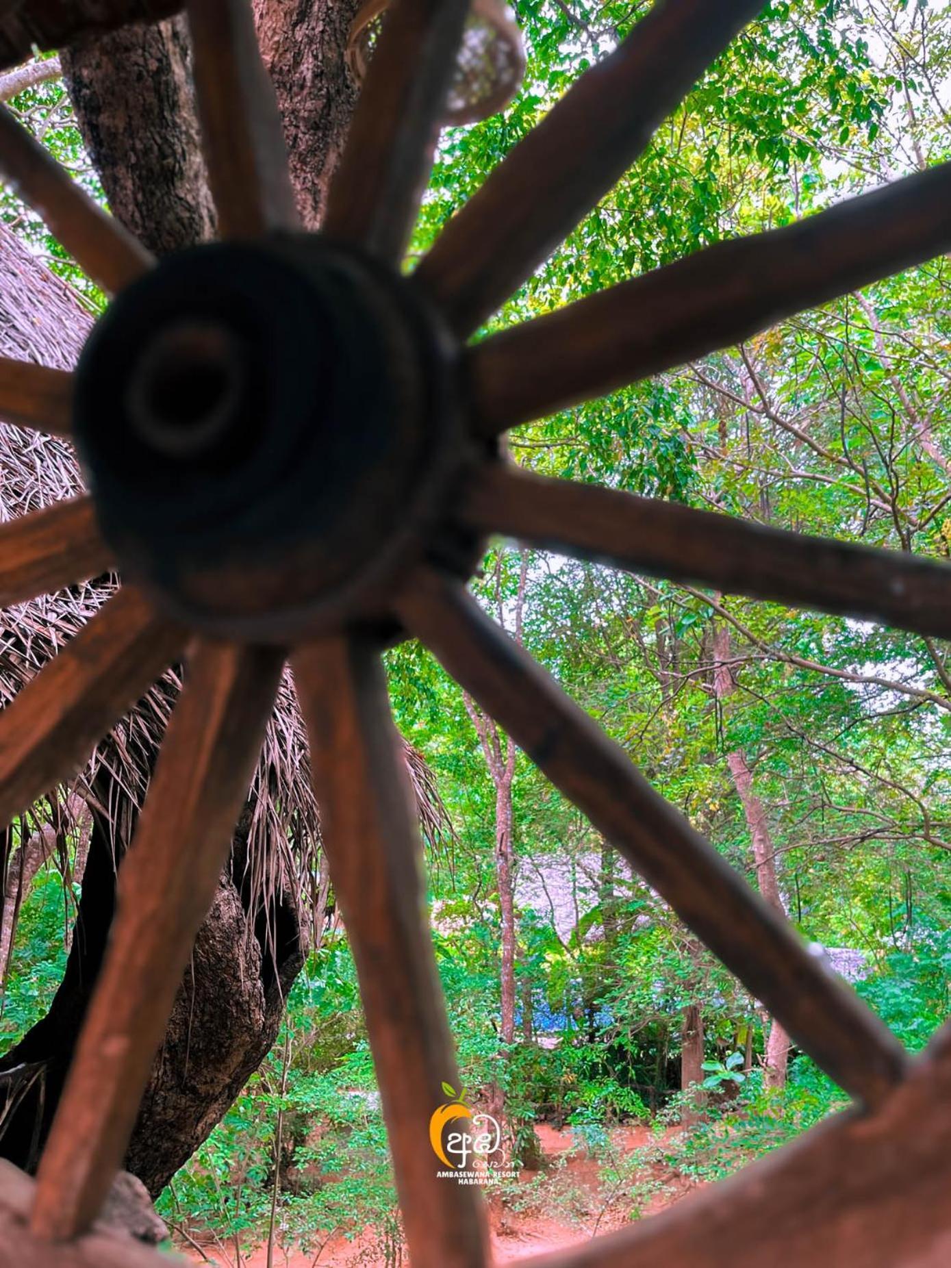 Habarana Tree House Ambasewana Resort Exterior photo