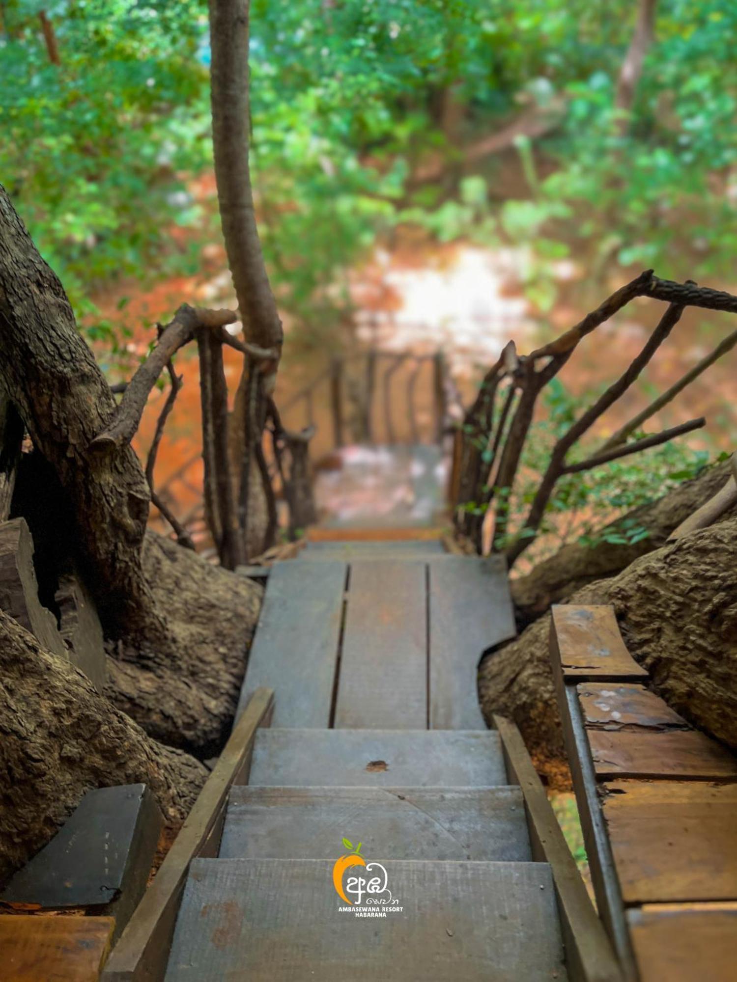 Habarana Tree House Ambasewana Resort Room photo