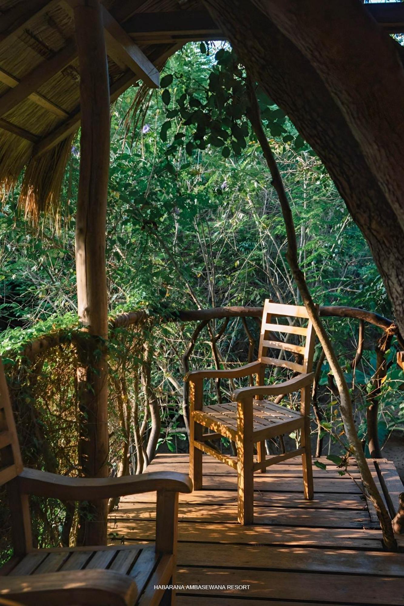 Habarana Tree House Ambasewana Resort Exterior photo