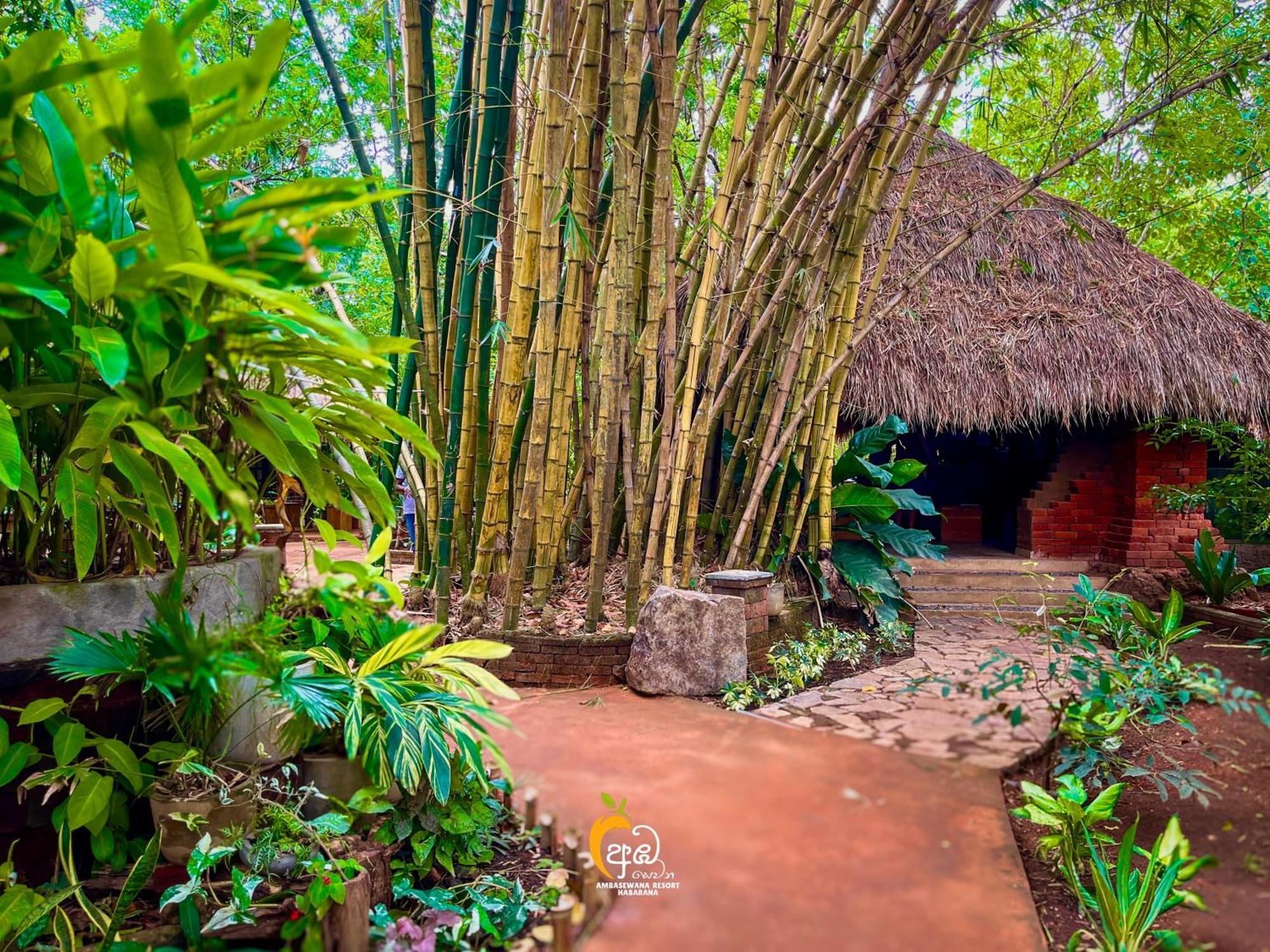 Habarana Tree House Ambasewana Resort Exterior photo