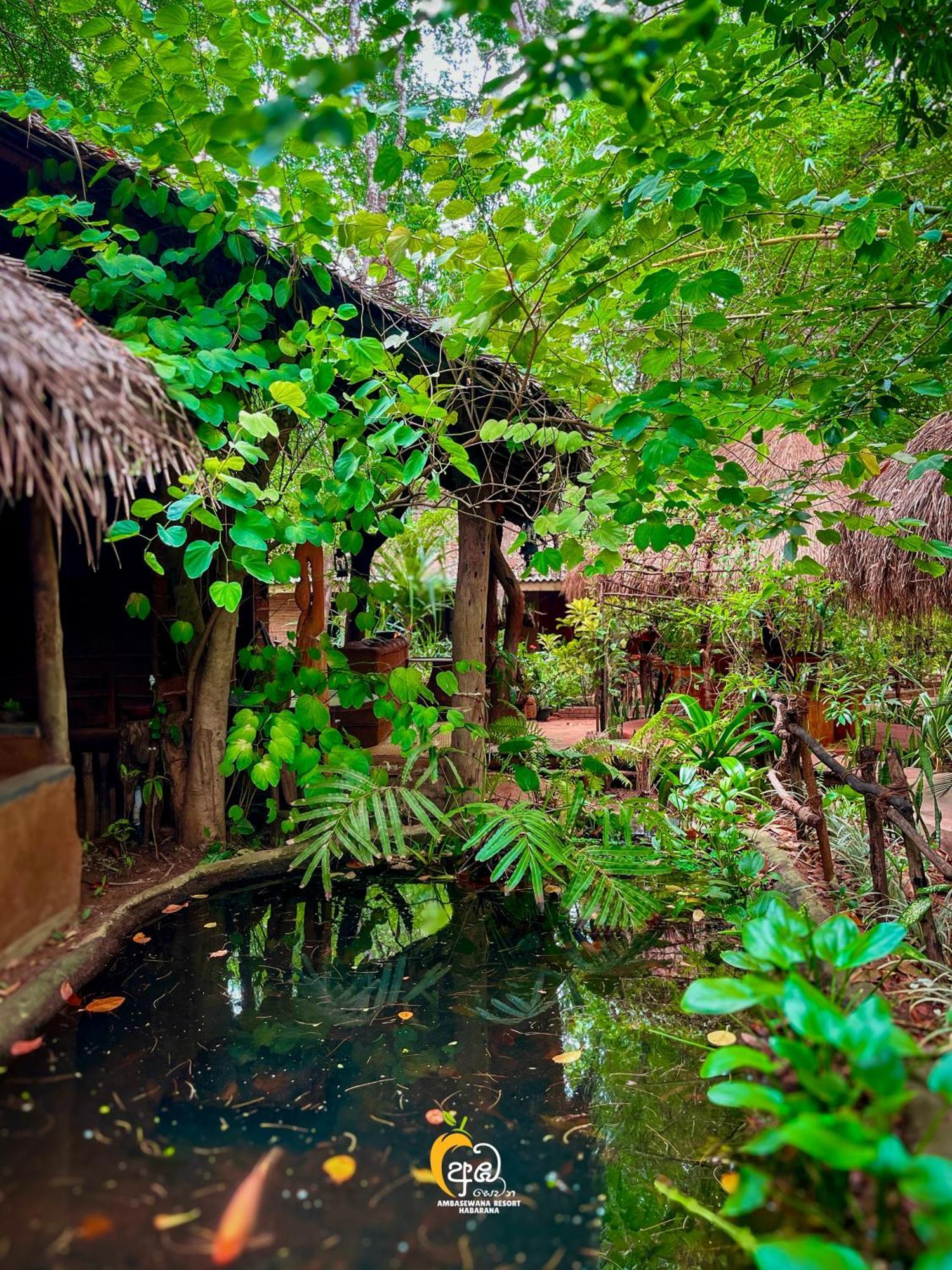 Habarana Tree House Ambasewana Resort Exterior photo