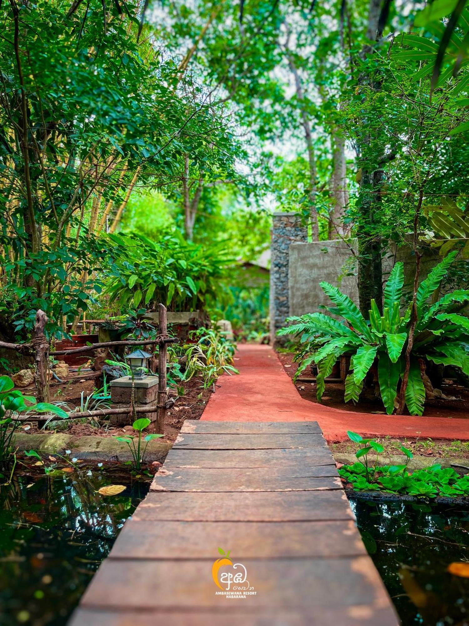 Habarana Tree House Ambasewana Resort Exterior photo