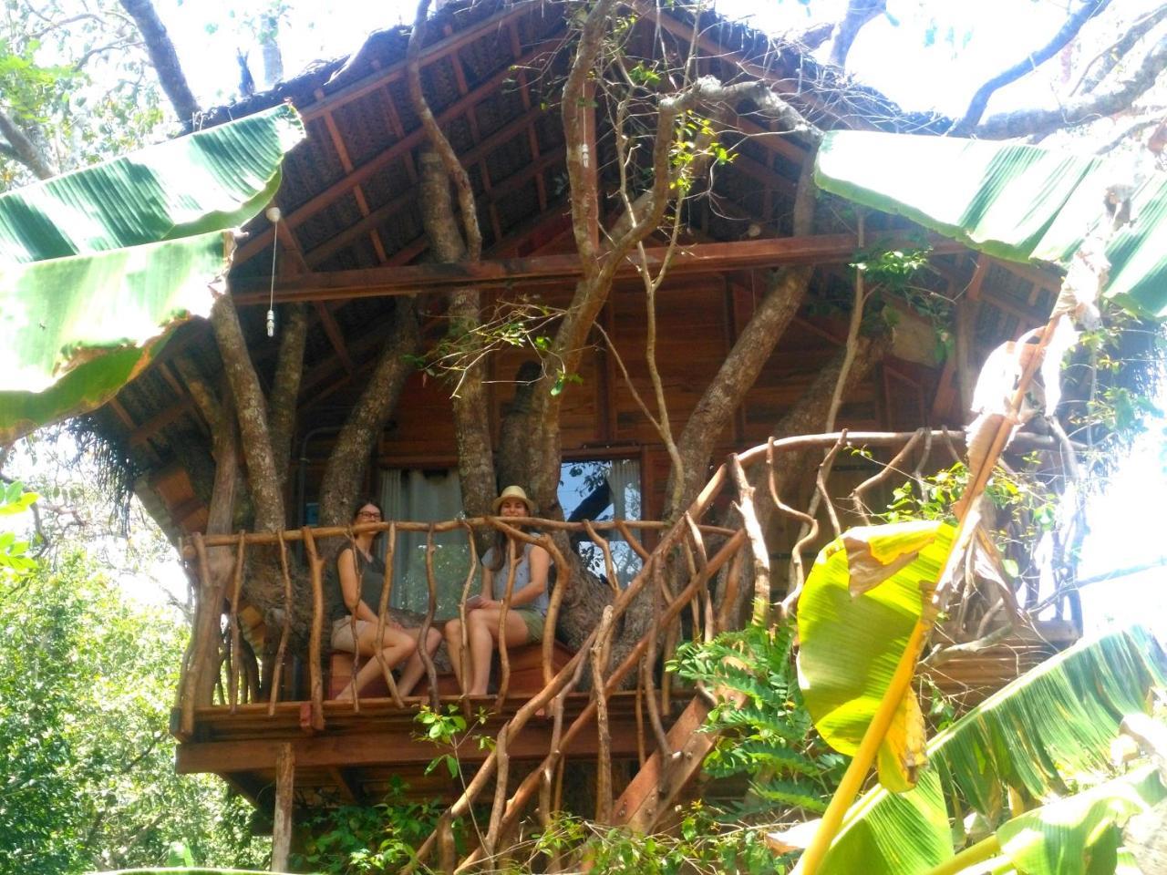 Habarana Tree House Ambasewana Resort Exterior photo